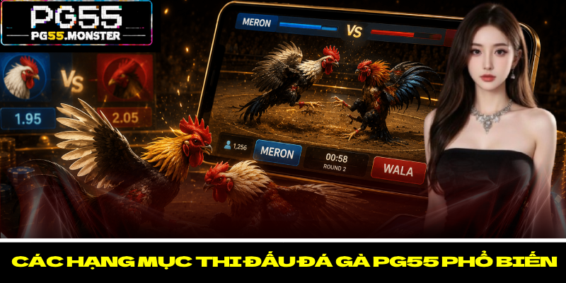 Đá Gà PG55 – Trải Nghiệm Cược Kê Kịch Tính Cho Hội Viên 3 Các hạng mục thi đấu đá gà PG55 phổ biến