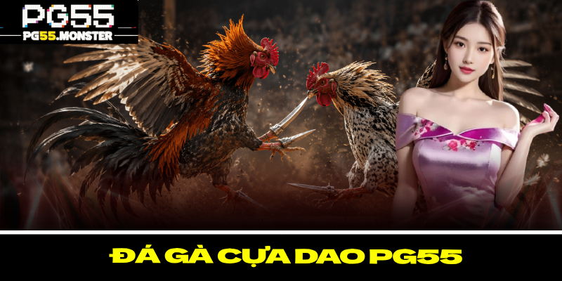 Đá Gà Cựa Dao PG55 – Loại Hình Cá Cược Với Nhiều Ưu Điểm 1 Đá Gà Cựa Dao PG55 – Loại Hình Cá Cược Với Nhiều Ưu Điểm