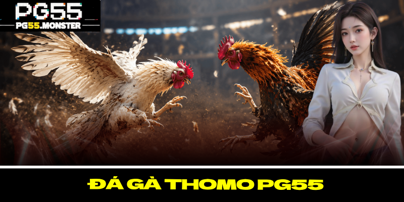 Đá Gà Thomo PG55 – Các Cú Đá Siêu Hấp Dẫn Của Chiến Kê 2 Đá Gà Thomo PG55 – Các Cú Đá Siêu Hấp Dẫn Của Chiến Kê