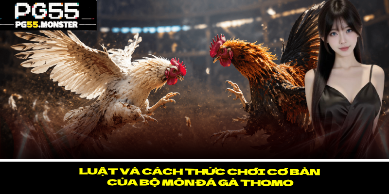 Đá Gà Thomo PG55 – Các Cú Đá Siêu Hấp Dẫn Của Chiến Kê 2 Luật và cách thức chơi cơ bản của bộ môn đá gà Thomo