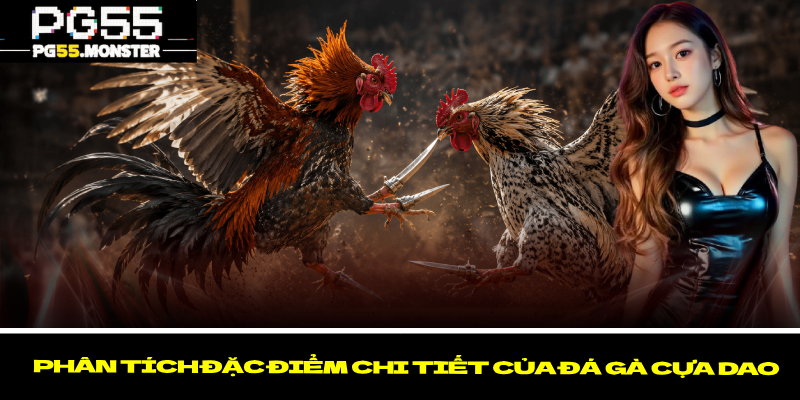 Đá Gà Cựa Dao PG55 – Loại Hình Cá Cược Với Nhiều Ưu Điểm 3 Phân tích đặc điểm chi tiết của đá gà cựa dao